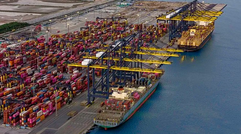 “2025外贸趋势:蛇年新机遇与挑战”